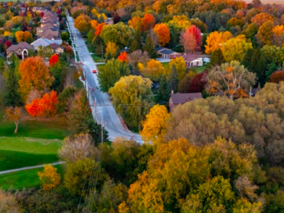 Laurel Creek